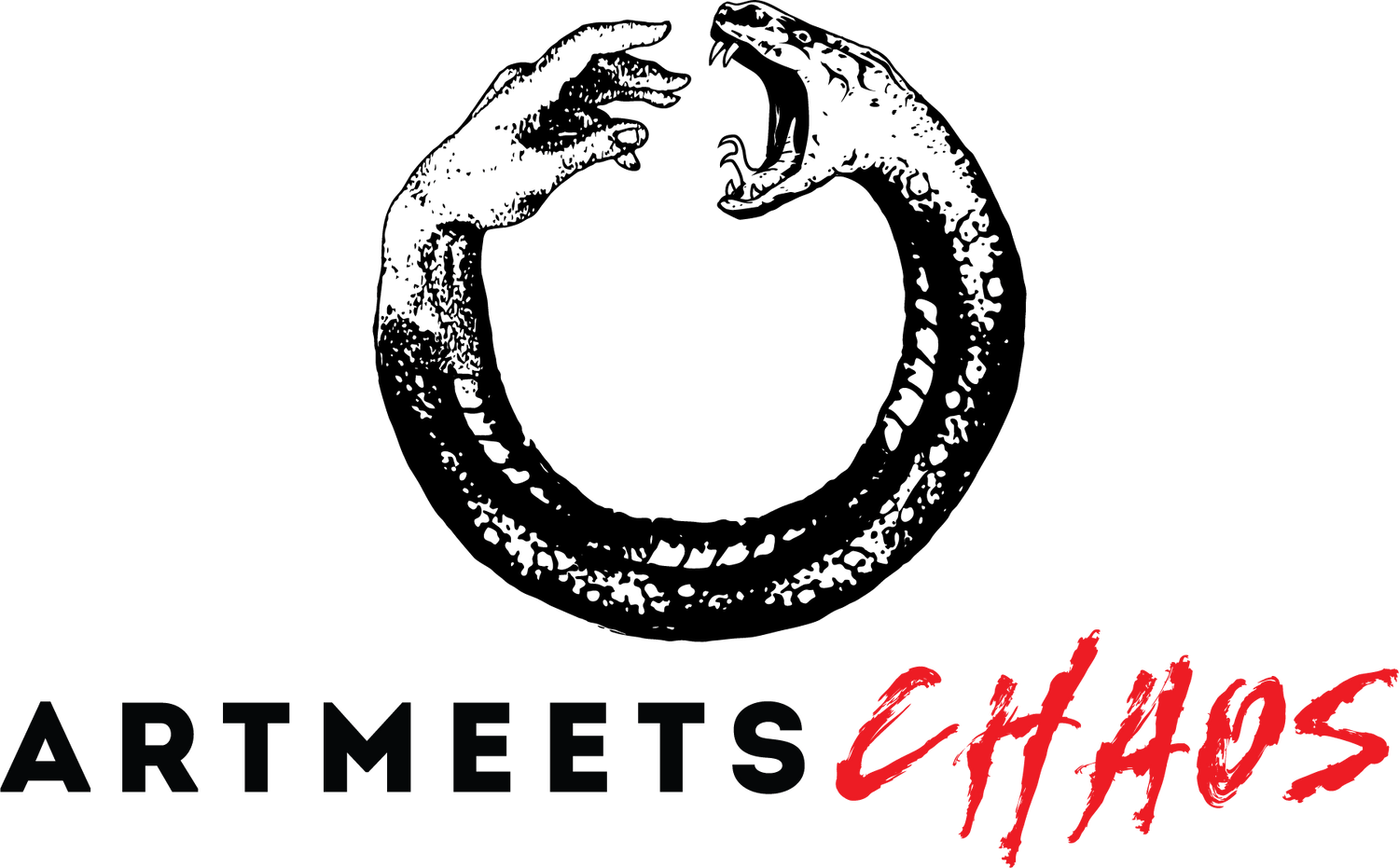 ART MEETS CHAOS