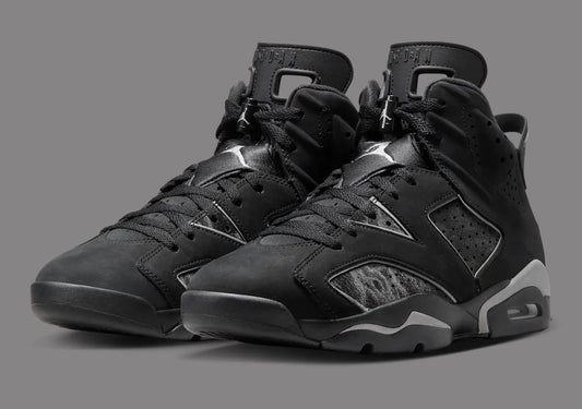 Air Jordan 6 "Cap&Gown"