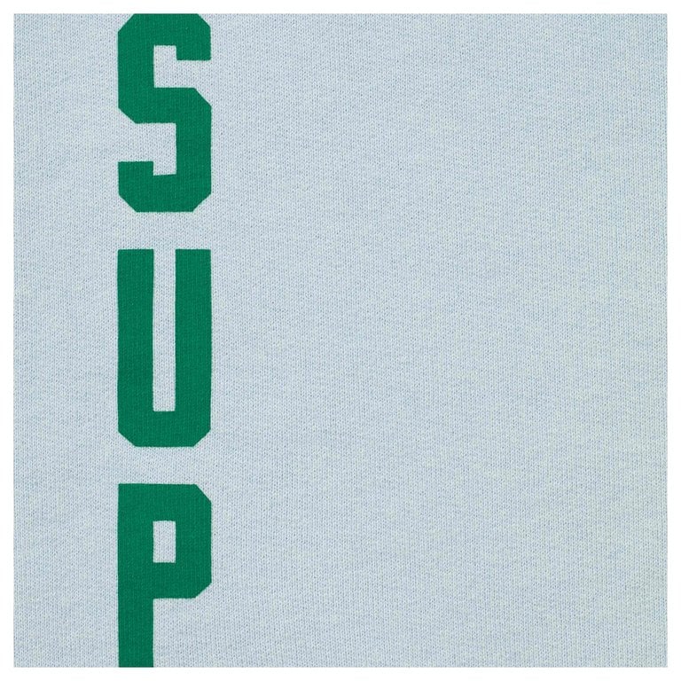 SUPREME Washed Logo Hooded Sweatshirt