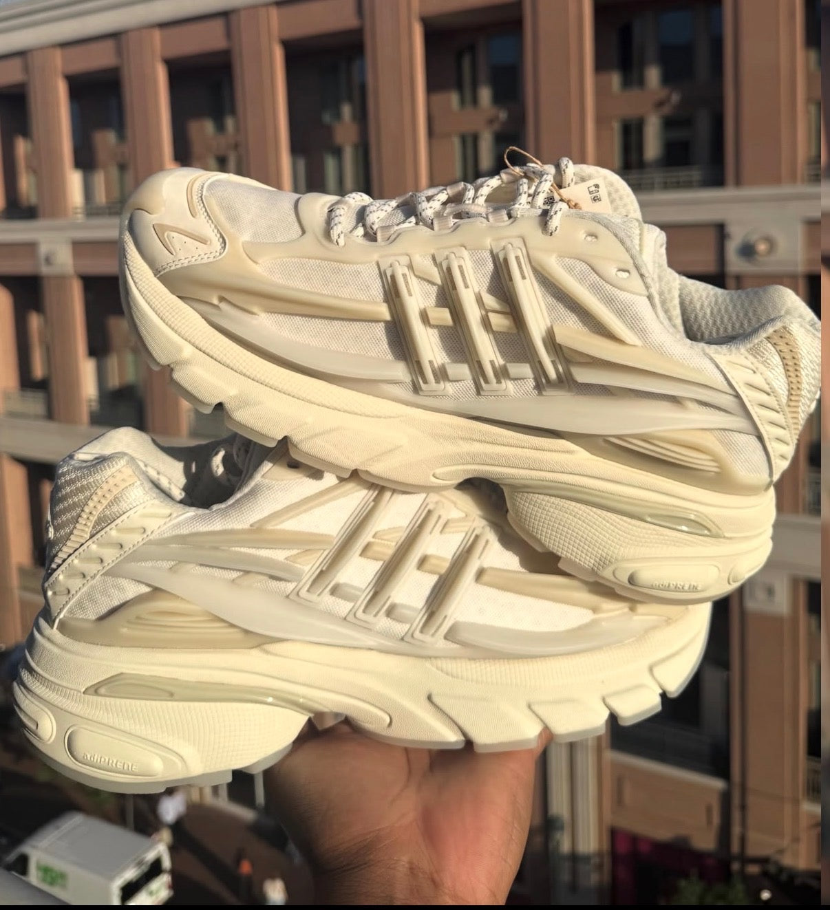 Adidas Adistar JellyFish