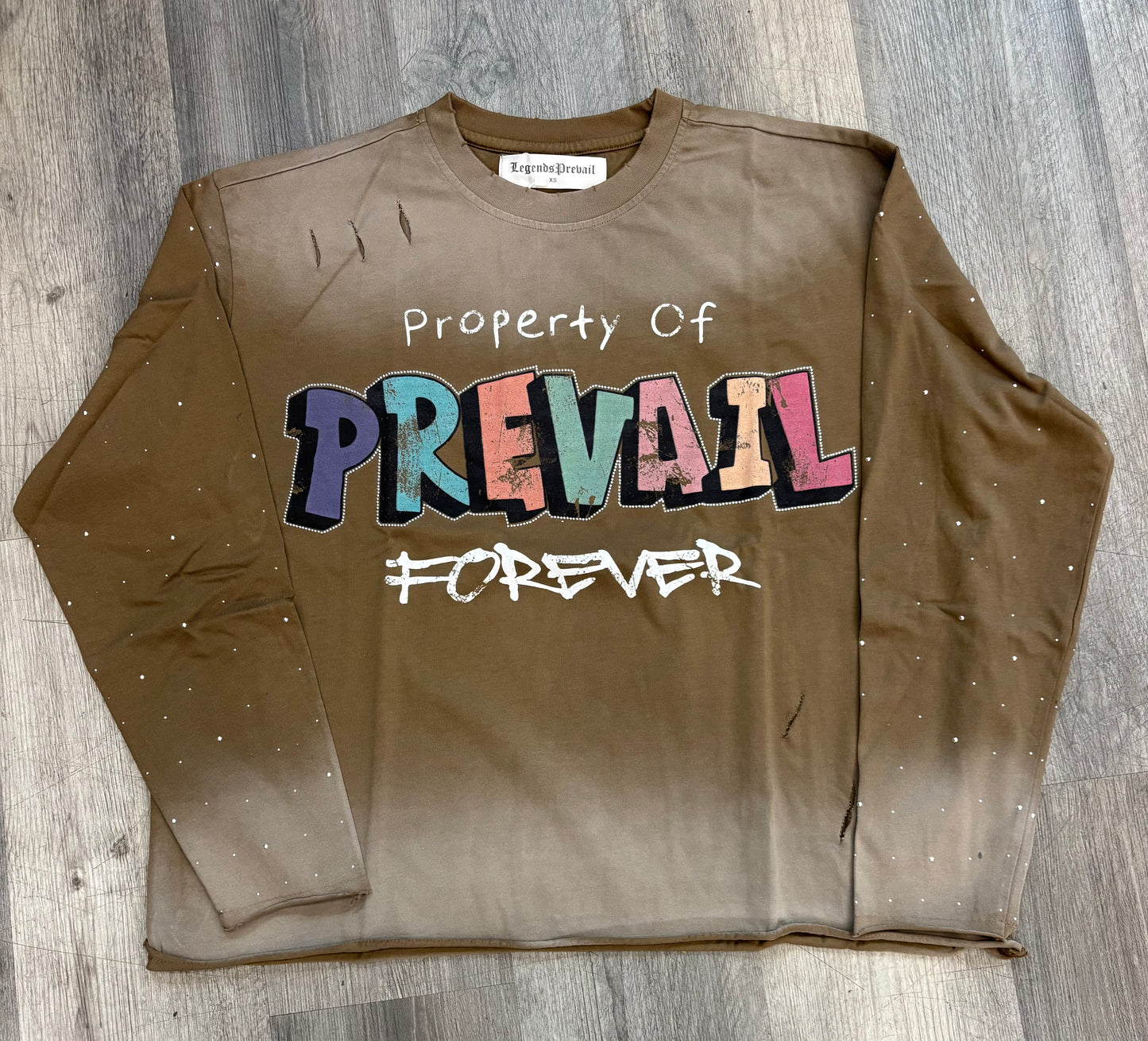 Legends Prevail Colful Long Sleeve (Brown)
